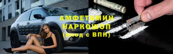 соль ск Новодвинск