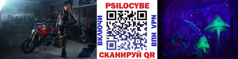 Галлюциногенные грибы мухоморы маркетплейс официальный сайт Карасук